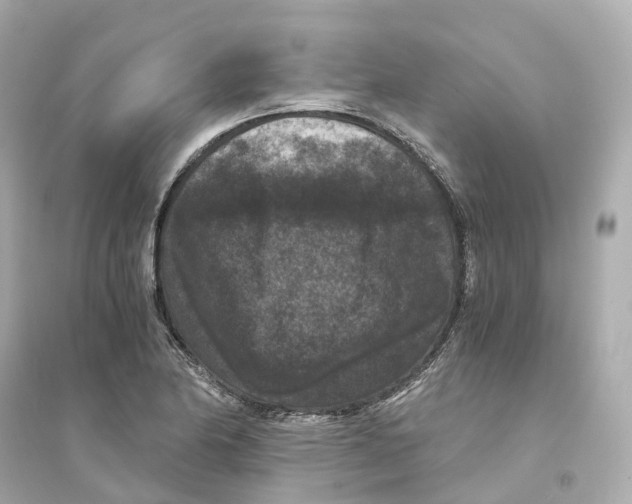 X0000093751174200711131118