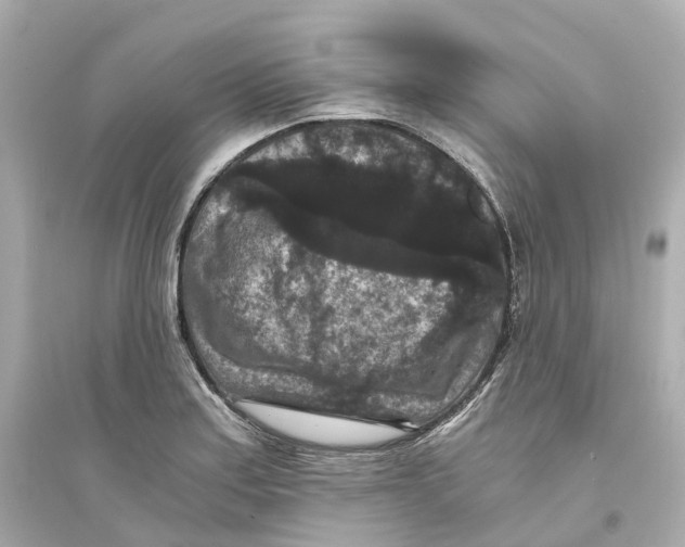 X0000093751179200711131118