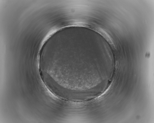 X0000093751180200711131118