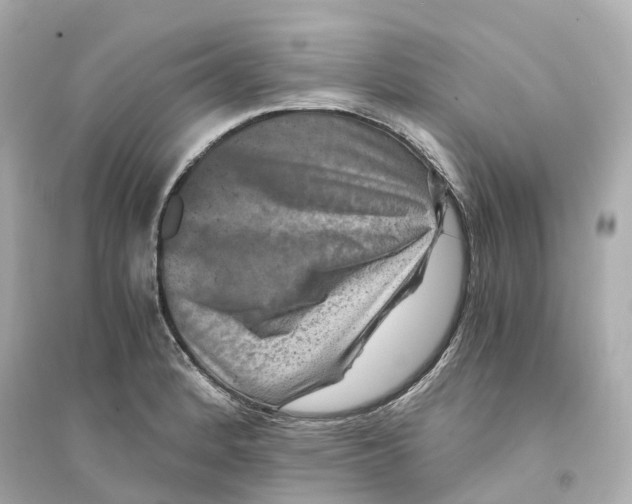 X0000093751184200711131118