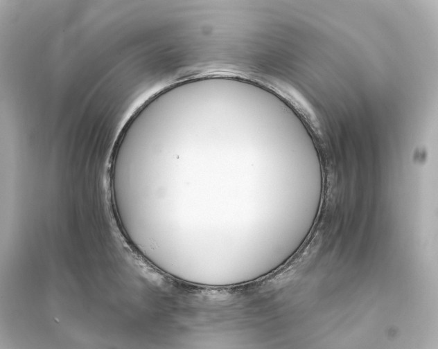 X0000093751190200711131118