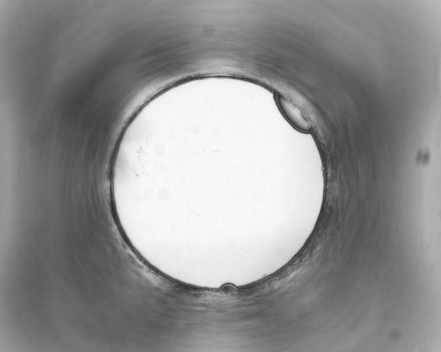 X0000093751191200711131118