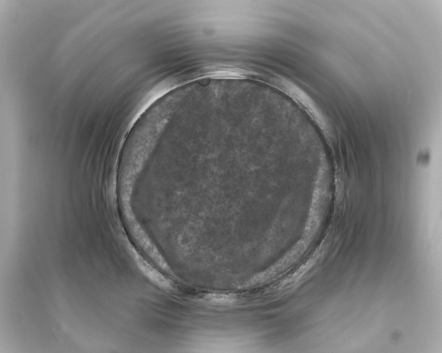 X0000093751194200711131118