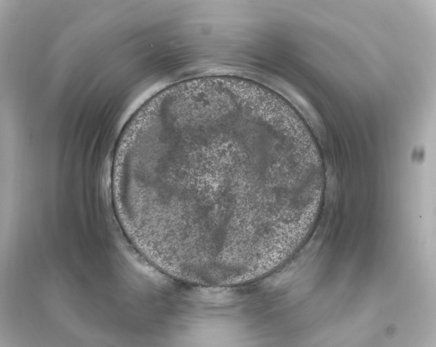 X0000093751198200711131118