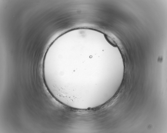 X0000093751199200711131118