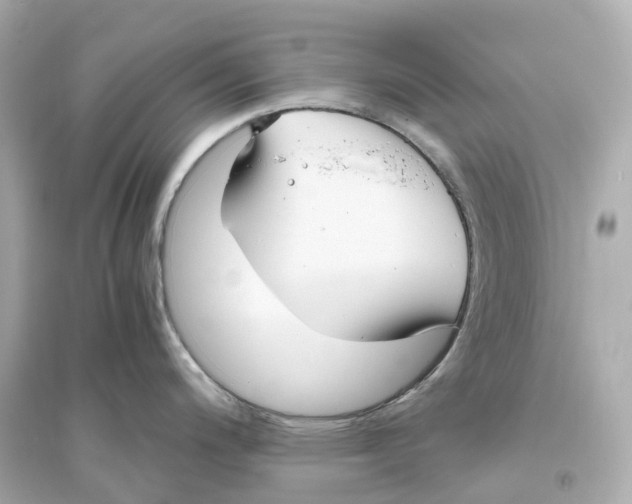 X0000093751200200711131118