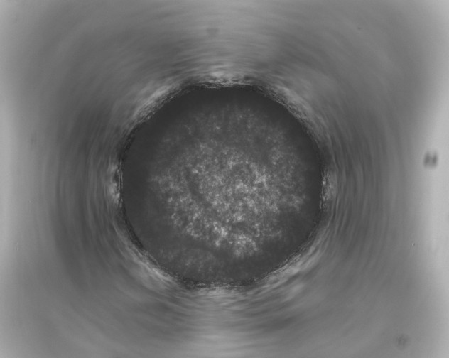 X0000093751202200711131117