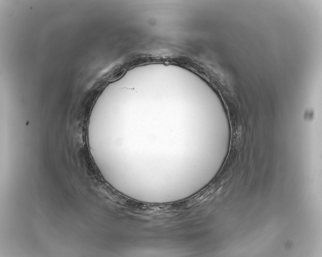 X0000093751205200711131117