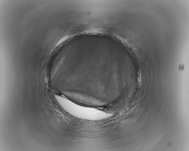 X0000093751206200711131117