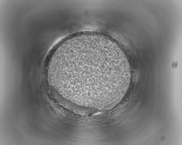 X0000093751208200711131117