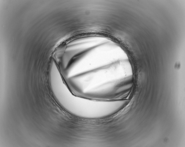 X0000093751210200711131117