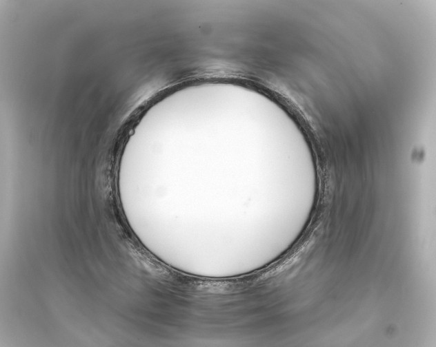 X0000093751211200711131117