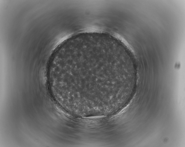 X0000093751213200711131117