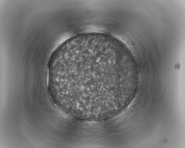 X0000093751219200711131117