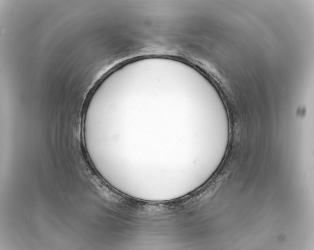 X0000093751220200711131117