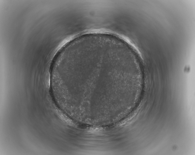 X0000093751221200711131117