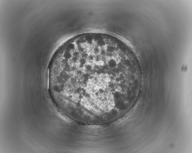 X0000093751223200711131117