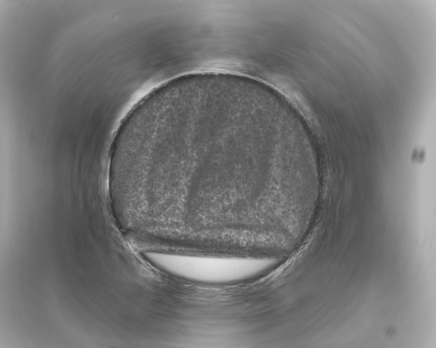 X0000093751224200711131117