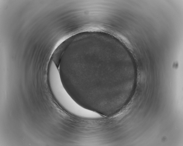 X0000093751226200711131117