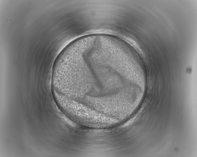 X0000093751228200711131117