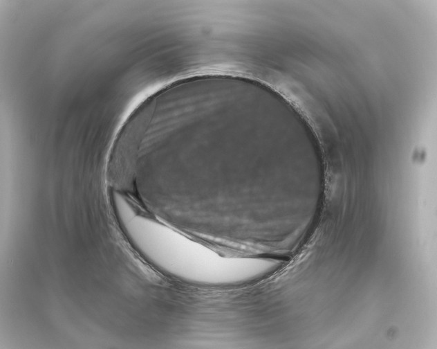 X0000093751230200711131117