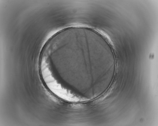 X0000093751231200711131117