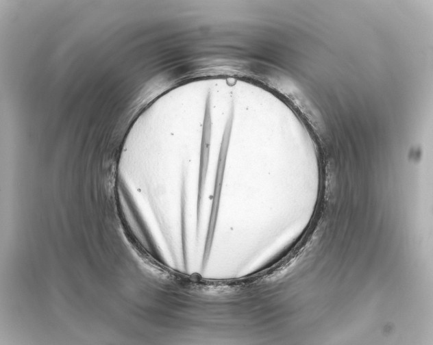 X0000093751233200711131118