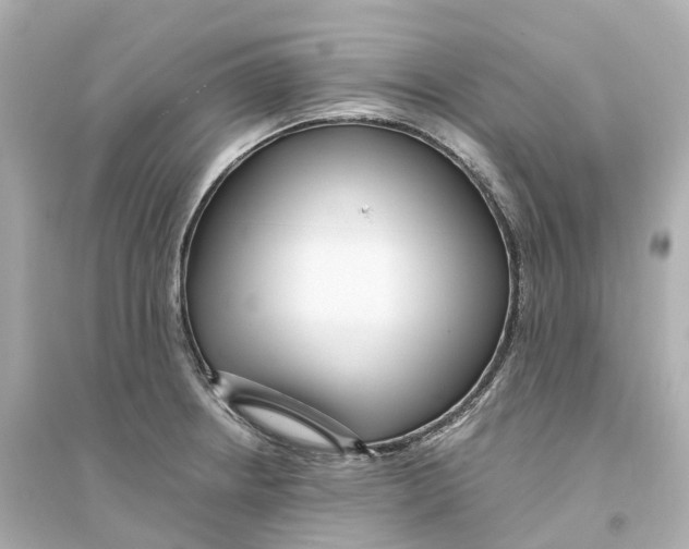 X0000093751234200711131118