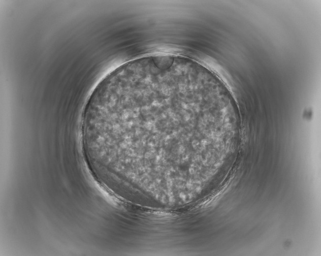 X0000093751235200711131118