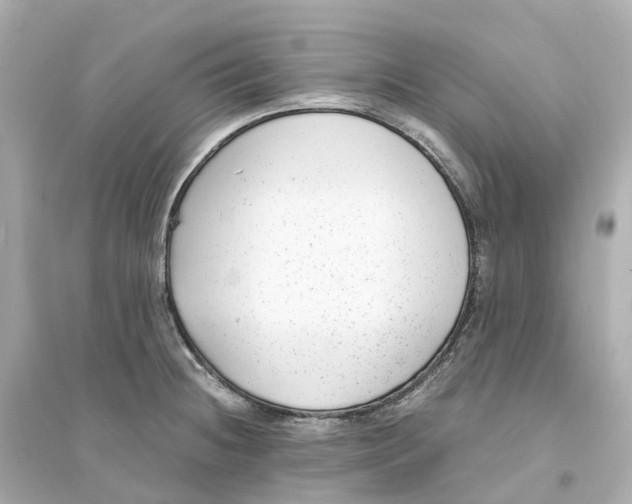 X0000093751236200711131118