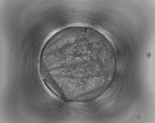 X0000093751237200711131118