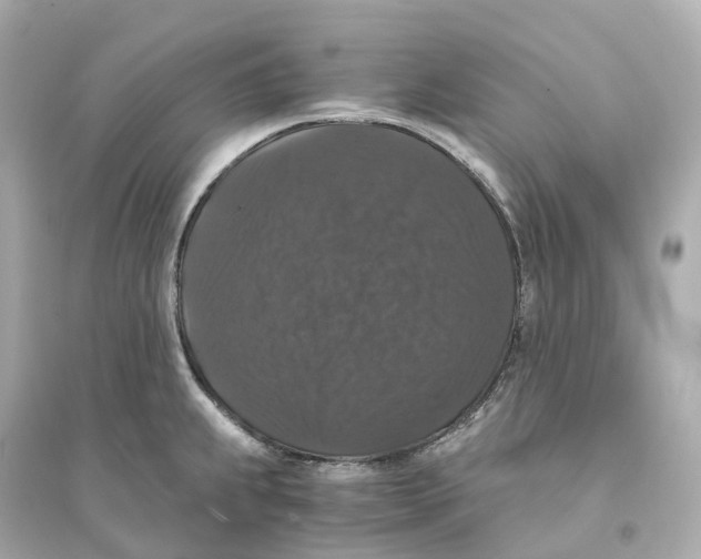 X0000093751239200711131118