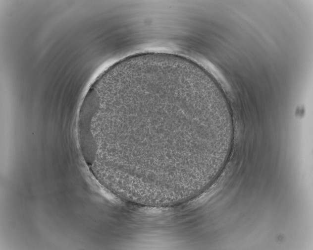 X0000093751240200711131118