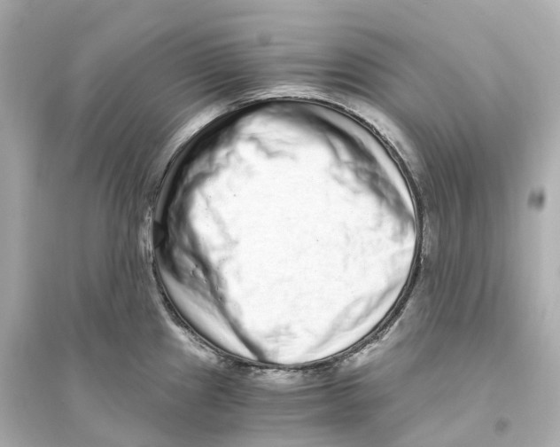 X0000093751241200711131118