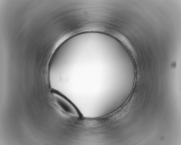 X0000093751242200711131118