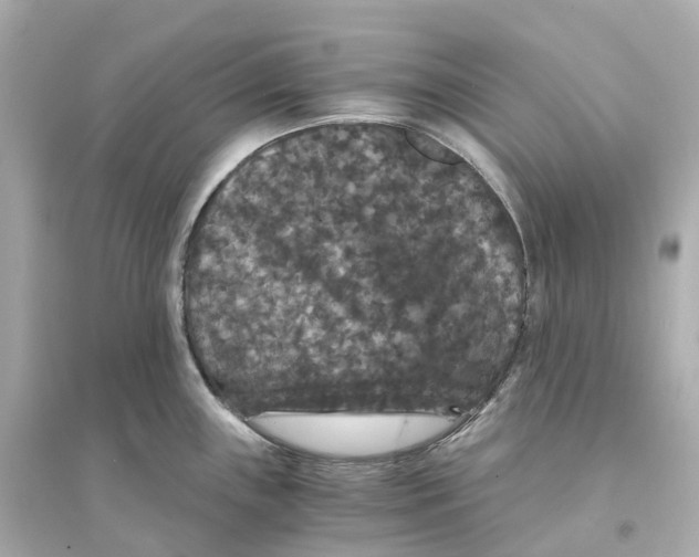 X0000093751243200711131118