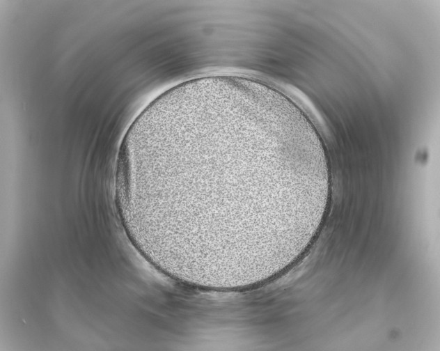 X0000093751244200711131118