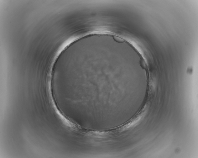 X0000093751245200711131118