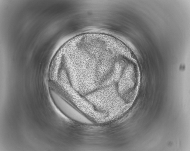 X0000093751247200711131118