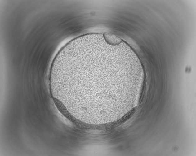 X0000093751248200711131118