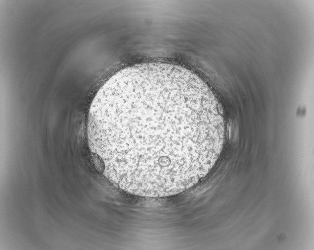 X0000093751251200711131117