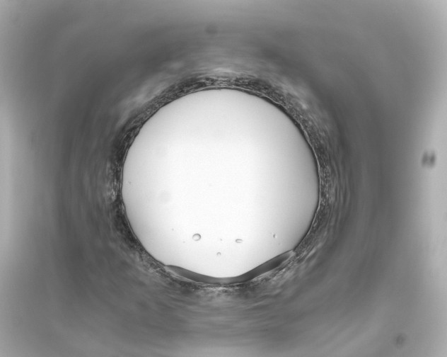 X0000093751253200711131117