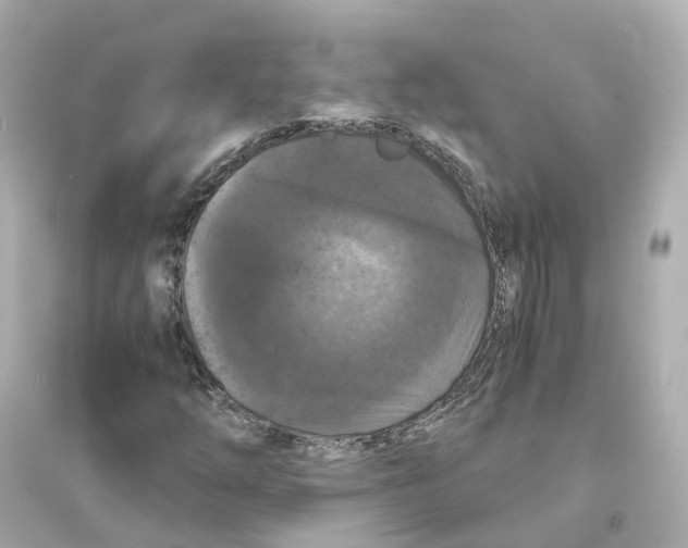 X0000093751254200711131117