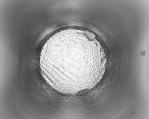 X0000093751255200711131117