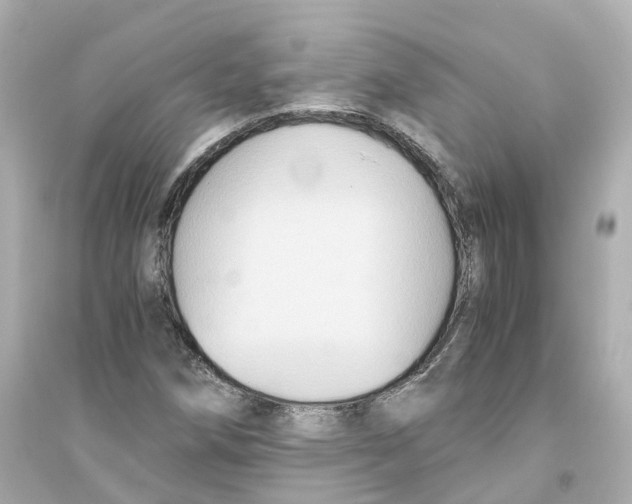 X0000093751258200711131117