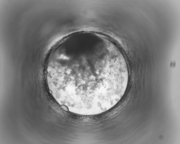 X0000093751263200711131117