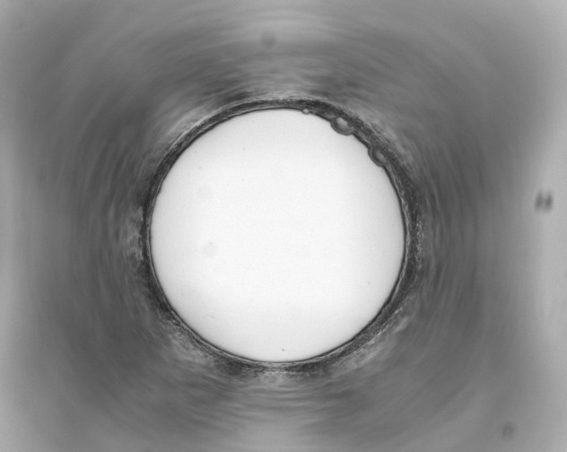 X0000093751265200711131117