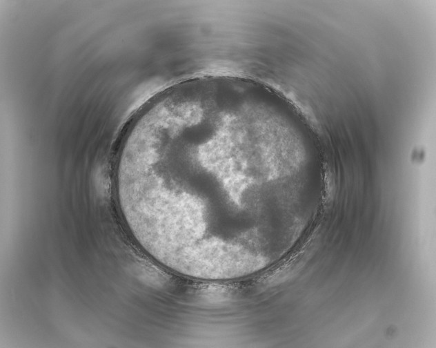 X0000093751266200711131117