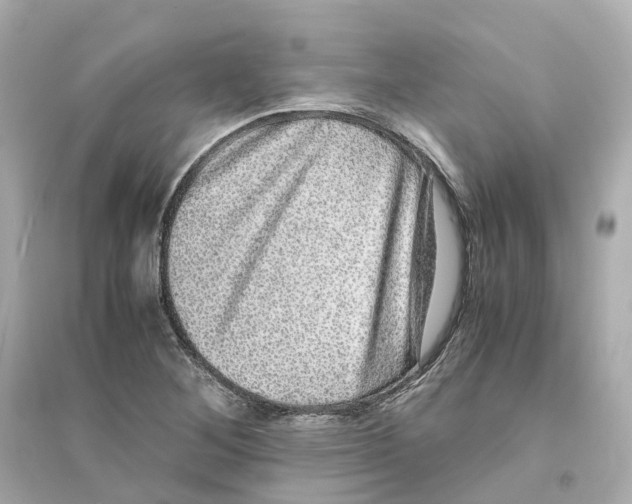 X0000093751268200711131117