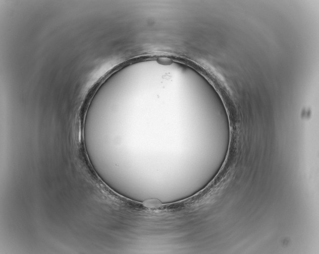 X0000093751269200711131117